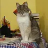 Отзыв от Ирина Лобанова